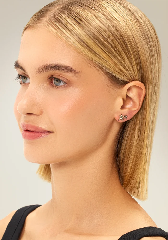 Boucle D'Oreille Mini Pave Struck Star Diamants Champagne