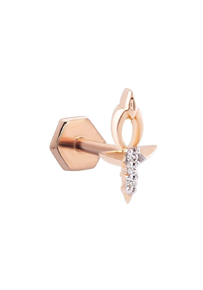 Piercing Ankh