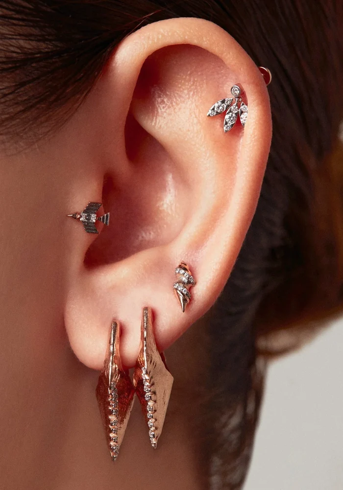 Piercing Lovebird
