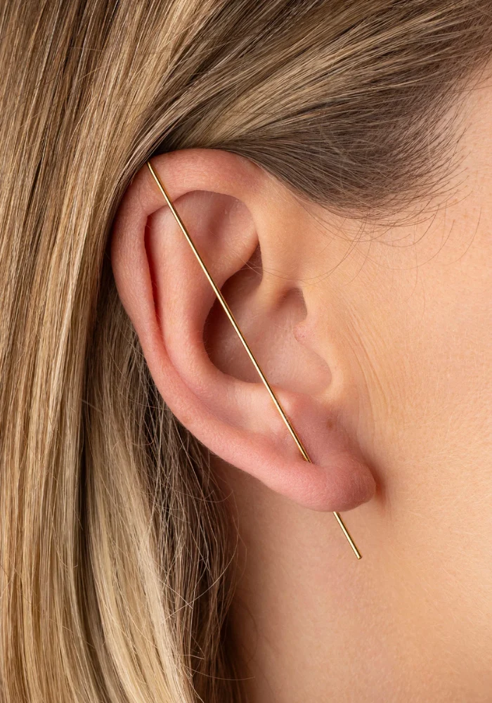 Bijou D'Oreille Stanley
