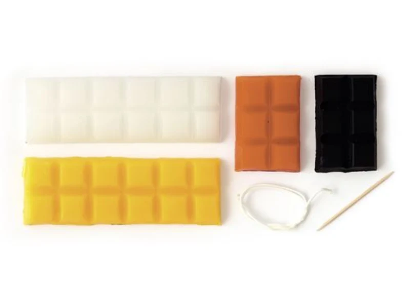Kit DIY bougies à modeler animaux sauvages