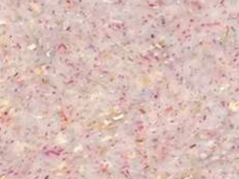 Pâte Fimo Effect Botanique Rose