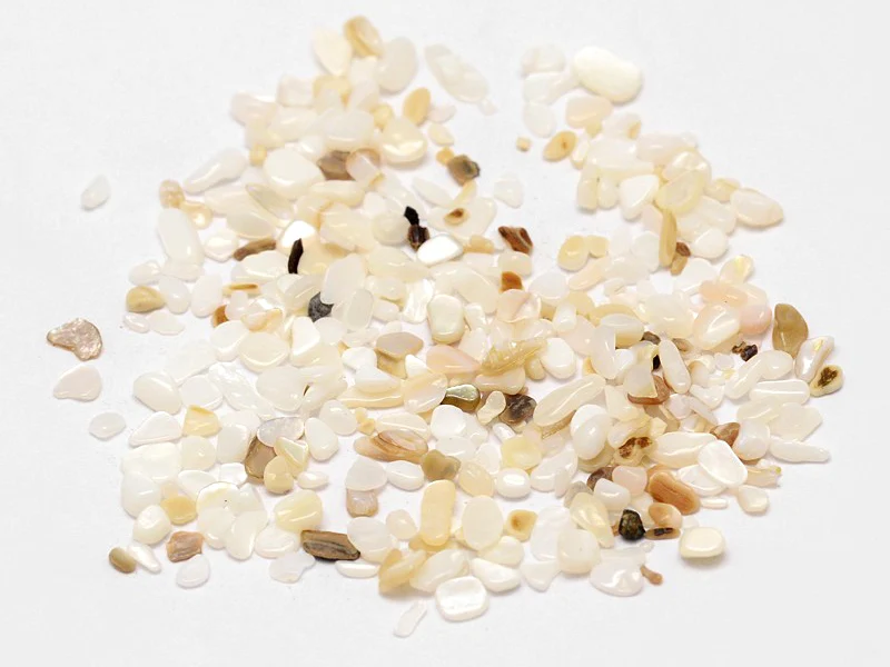 50 grammes de fragments de coquillages pour Jesmonite - 2-3 mm