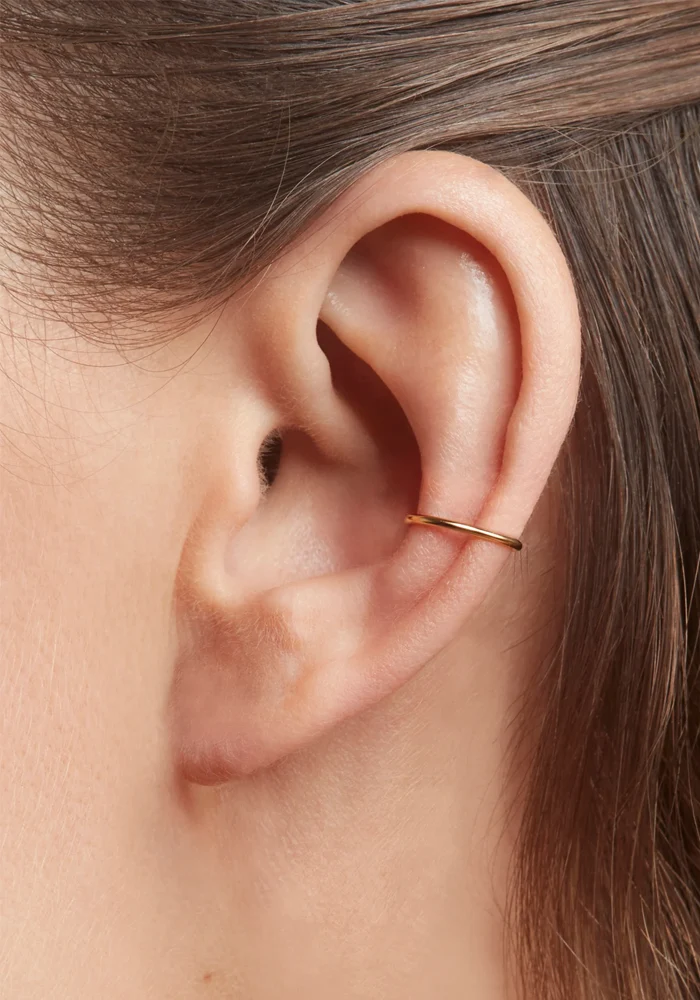 Bijou D'Oreille Pierre Palladium