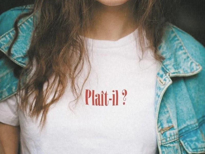 Kit de broderie sur vêtement - Fierce