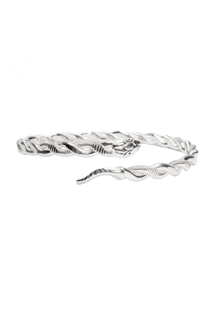 Jonc Snake Corde De Basse Argent