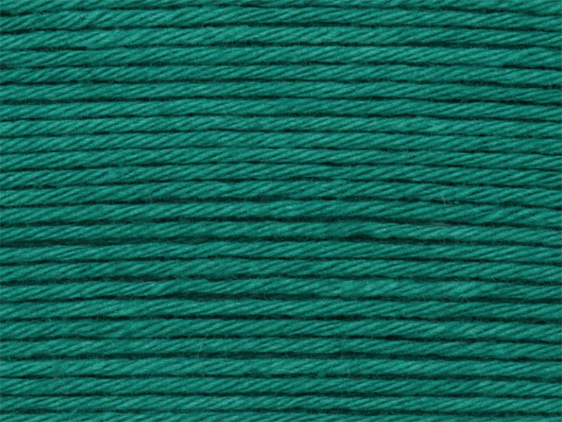 Pelote Ricorumi coton DK - Lierre (43)