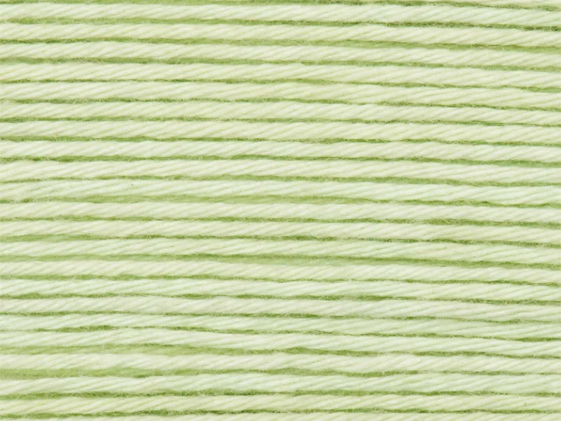 Pelote Ricorumi coton DK - Vert pastel (45)