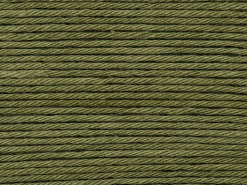 Pelote Ricorumi coton DK - Olive (48)