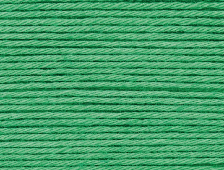Pelote Ricorumi coton DK - Vert herbe (44)