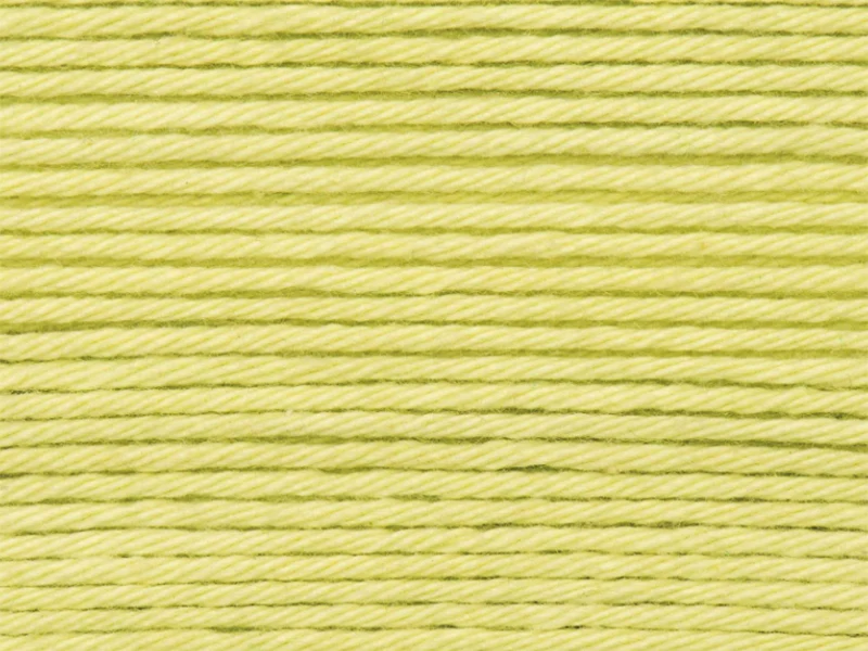 Pelote Ricorumi coton DK - Vert clair (46)