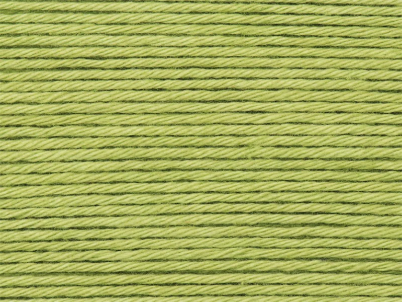 Pelote Ricorumi coton DK - Pistache (47)