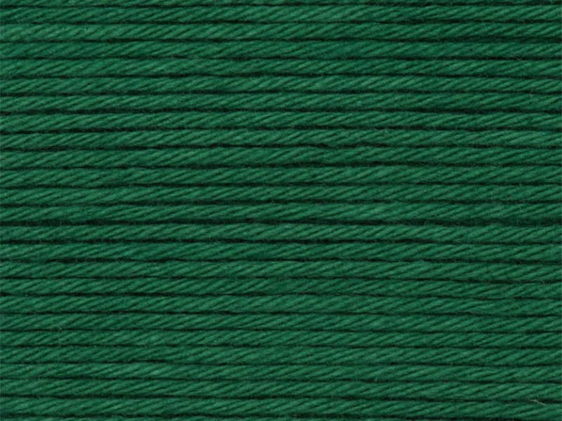 Pelote Ricorumi coton DK - Vert sapin (50)