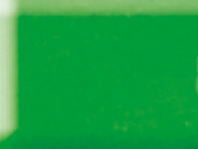 Pâte Fimo Soft Vert Tropique 53